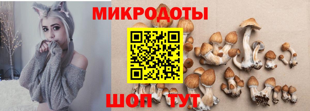 Норильск  Псилоцибиновые грибы GOLDEN TEACHER  Вход с VPN 